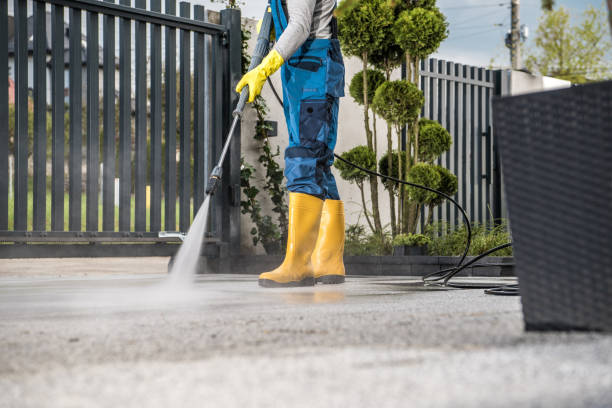 Best Exterior Home Cleaning  in Ellenville, NY